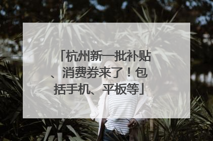 杭州新一批补贴、消费券来了！包括手机、平板等