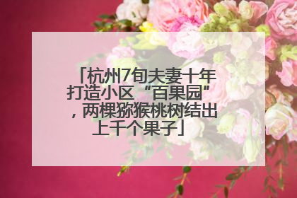 杭州7旬夫妻十年打造小区“百果园”，两棵猕猴桃树结出上千个果子