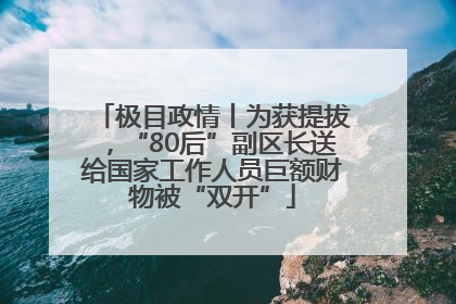 极目政情丨为获提拔，“80后”副区长送给国家工作人员巨额财物被“双开”