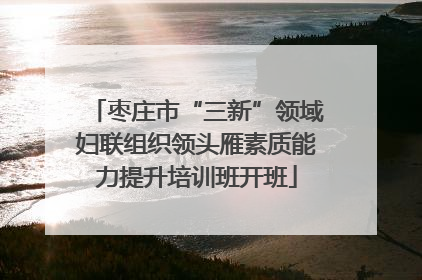 枣庄市“三新”领域妇联组织领头雁素质能力提升培训班开班