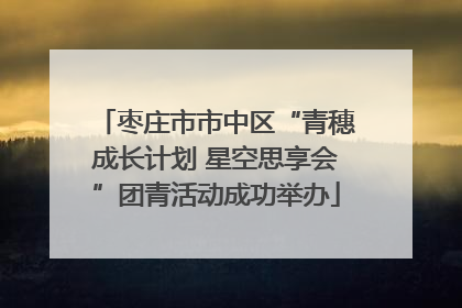 枣庄市市中区“青穗成长计划 星空思享会”团青活动成功举办