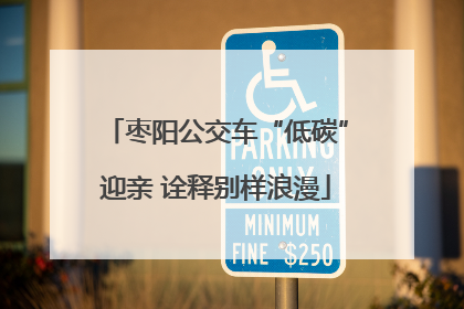 枣阳公交车“低碳”迎亲 诠释别样浪漫