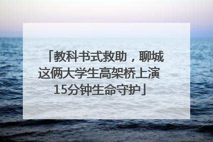 教科书式救助，聊城这俩大学生高架桥上演15分钟生命守护