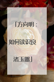 方向明：如何读识良渚玉器