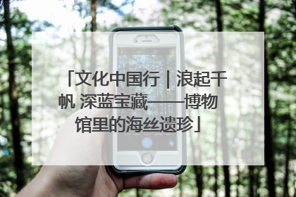 文化中国行｜浪起千帆 深蓝宝藏——博物馆里的海丝遗珍