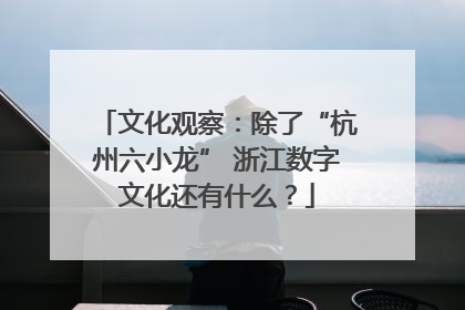 文化观察：除了“杭州六小龙” 浙江数字文化还有什么？