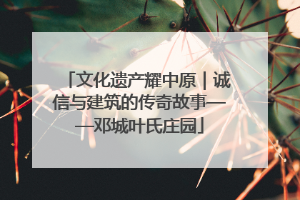 文化遗产耀中原｜诚信与建筑的传奇故事——邓城叶氏庄园