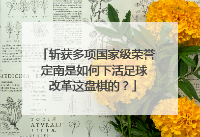 斩获多项国家级荣誉 定南是如何下活足球改革这盘棋的？