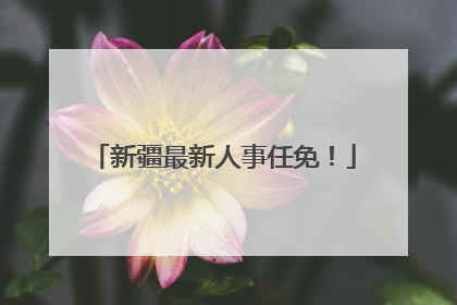 新疆最新人事任免！
