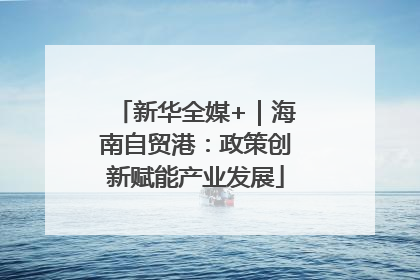 新华全媒+｜海南自贸港：政策创新赋能产业发展