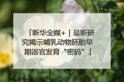 新华全媒+｜最新研究揭示哺乳动物胚胎早期器官发育“密码”