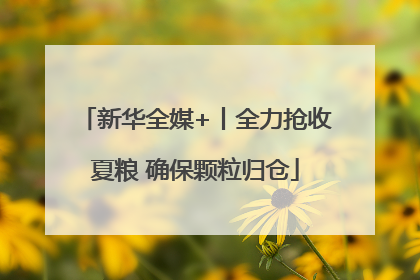 新华全媒+丨全力抢收夏粮 确保颗粒归仓