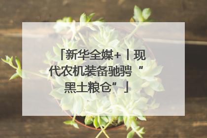 新华全媒+丨现代农机装备驰骋“黑土粮仓”