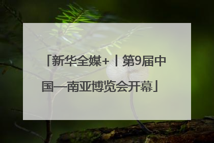 新华全媒+丨第9届中国—南亚博览会开幕