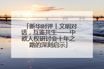 新华时评丨文明对话，互鉴共生——中欧人权研讨会十年之路的深刻启示
