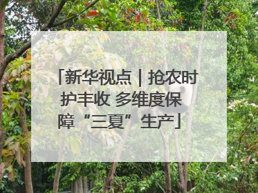 新华视点｜抢农时 护丰收 多维度保障“三夏”生产