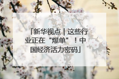 新华视点｜这些行业正在“爆单”！中国经济活力密码