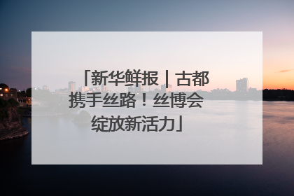 新华鲜报｜古都携手丝路！丝博会绽放新活力
