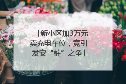新小区加3万元卖充电车位，竟引发安“桩”之争