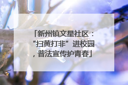 新州镇文星社区：“扫黄打非”进校园，普法宣传护青春