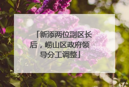 新添两位副区长后，崂山区政府领导分工调整