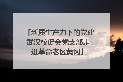 新质生产力下的党建 武汉校促会党支部走进革命老区黄冈
