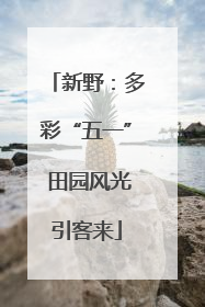 新野：多彩“五一” 田园风光引客来