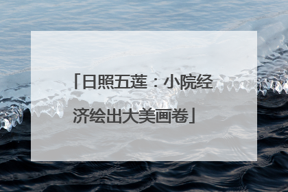 日照五莲：小院经济绘出大美画卷