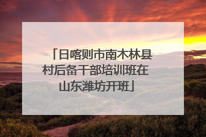 日喀则市南木林县村后备干部培训班在山东潍坊开班