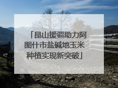 昆山援疆助力阿图什市盐碱地玉米种植实现新突破