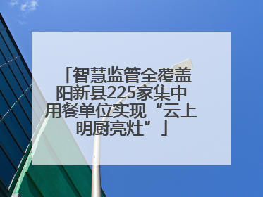 智慧监管全覆盖 阳新县225家集中用餐单位实现“云上明厨亮灶”