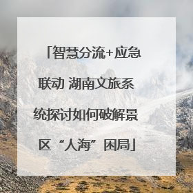 智慧分流+应急联动 湖南文旅系统探讨如何破解景区“人海”困局