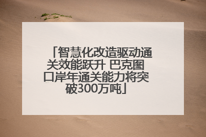 智慧化改造驱动通关效能跃升 巴克图口岸年通关能力将突破300万吨