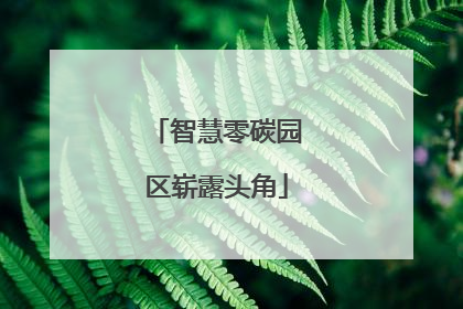 智慧零碳园区崭露头角