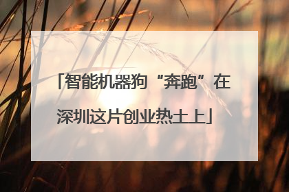 智能机器狗“奔跑”在深圳这片创业热土上