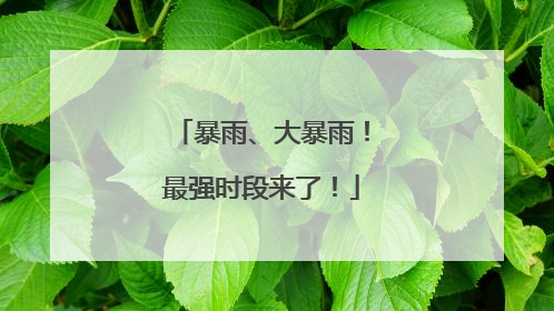 暴雨、大暴雨！最强时段来了！