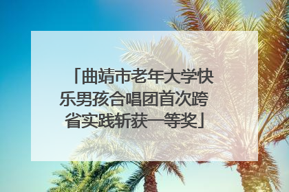 曲靖市老年大学快乐男孩合唱团首次跨省实践斩获一等奖