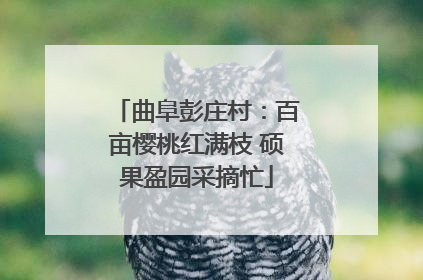 曲阜彭庄村：百亩樱桃红满枝 硕果盈园采摘忙