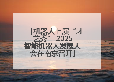 机器人上演“才艺秀” 2025智能机器人发展大会在南京召开
