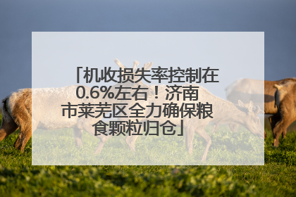 机收损失率控制在0.6%左右！济南市莱芜区全力确保粮食颗粒归仓