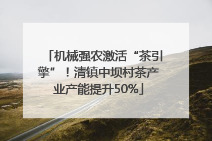 机械强农激活“茶引擎”！清镇中坝村茶产业产能提升50%