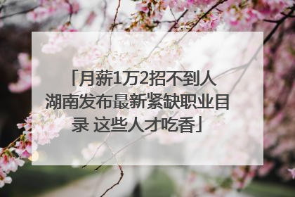 月薪1万2招不到人 湖南发布最新紧缺职业目录 这些人才吃香
