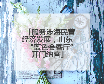 服务涉海民营经济发展，山东“蓝色会客厅”开门纳客