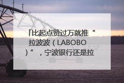 比起点赞过万就推“拉波波（LABOBO）”，宁波银行还是拉业绩吧｜财经辣评