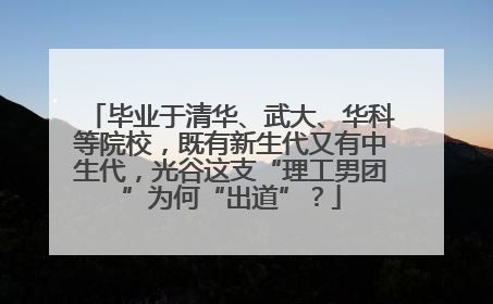 毕业于清华、武大、华科等院校，既有新生代又有中生代，光谷这支“理工男团”为何“出道”？