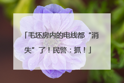 毛坯房内的电线都“消失”了！民警：抓！