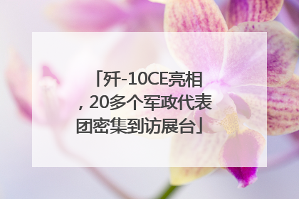 歼-10CE亮相，20多个军政代表团密集到访展台