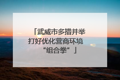 武威市多措并举打好优化营商环境“组合拳”