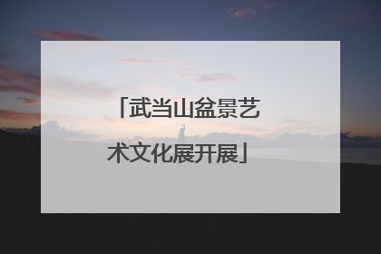 武当山盆景艺术文化展开展