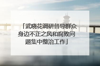 武晓花调研督导群众身边不正之风和腐败问题集中整治工作